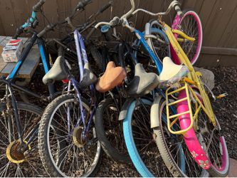 5 bikes
