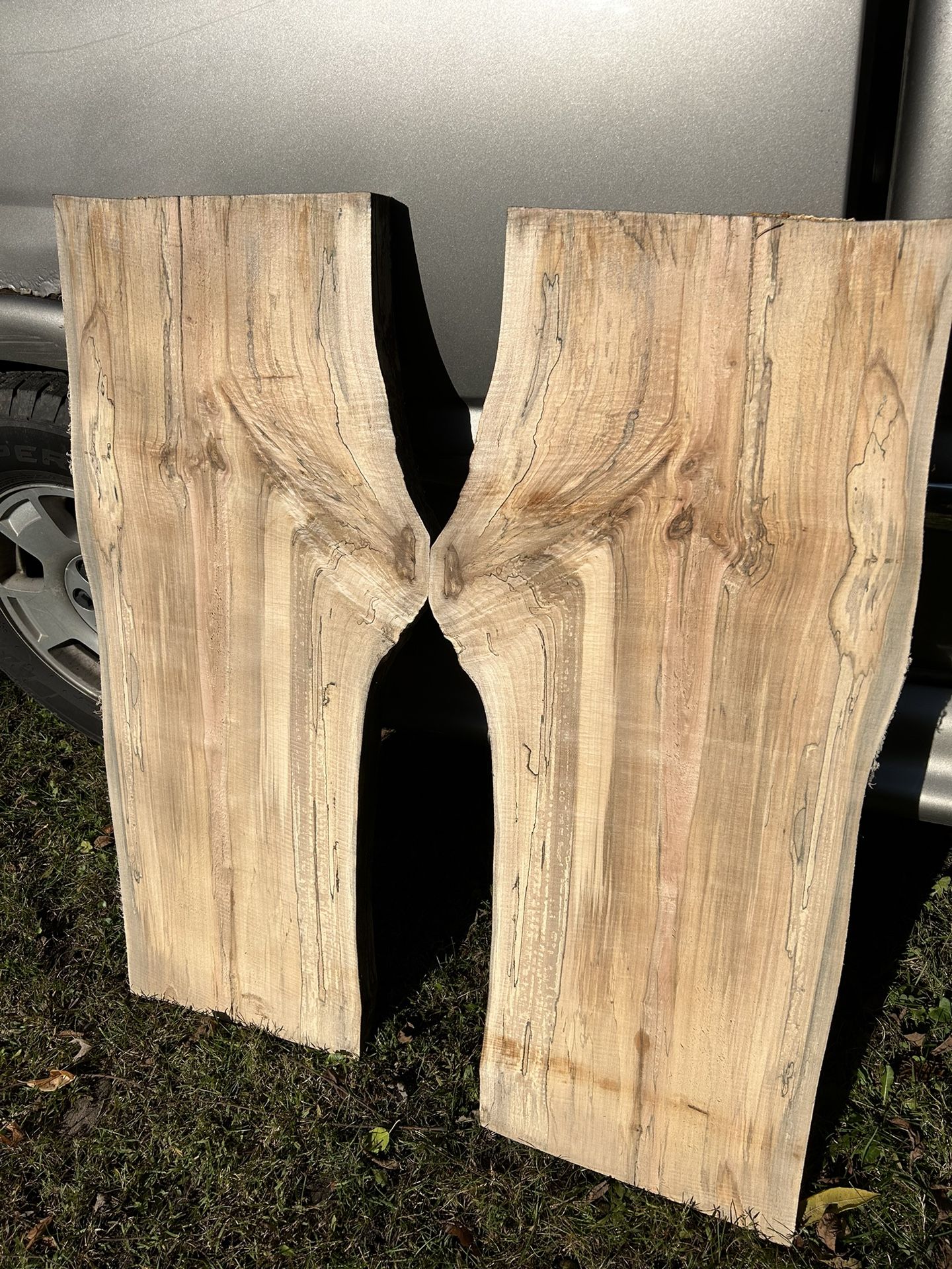 Fresh Cut Spalted Maple