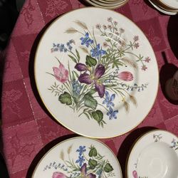 Beautiful Butterfly Meadow  Mariposa Dinner Set/ 