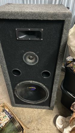 Pro Studio speaker with 15" speaker.