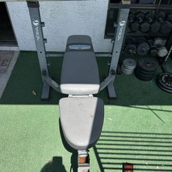 Bench Press With Bar And Weights