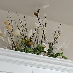 Flowers/Plants  For Decor