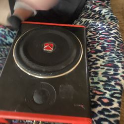 Amp