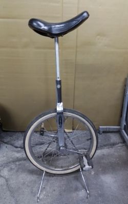 Schwinn Unicycle