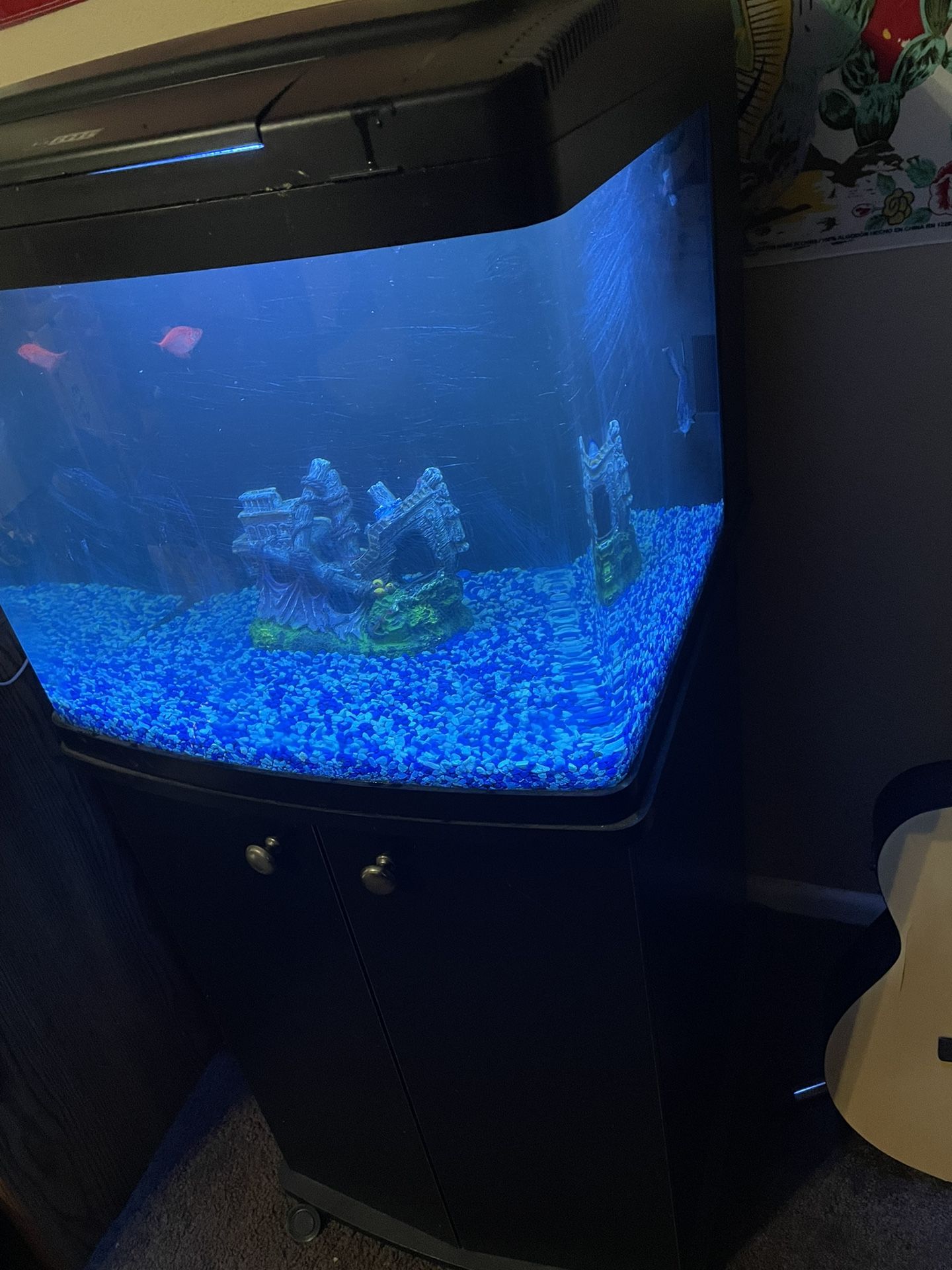 Fish Tank Aquarium Fresh Or Saltwater