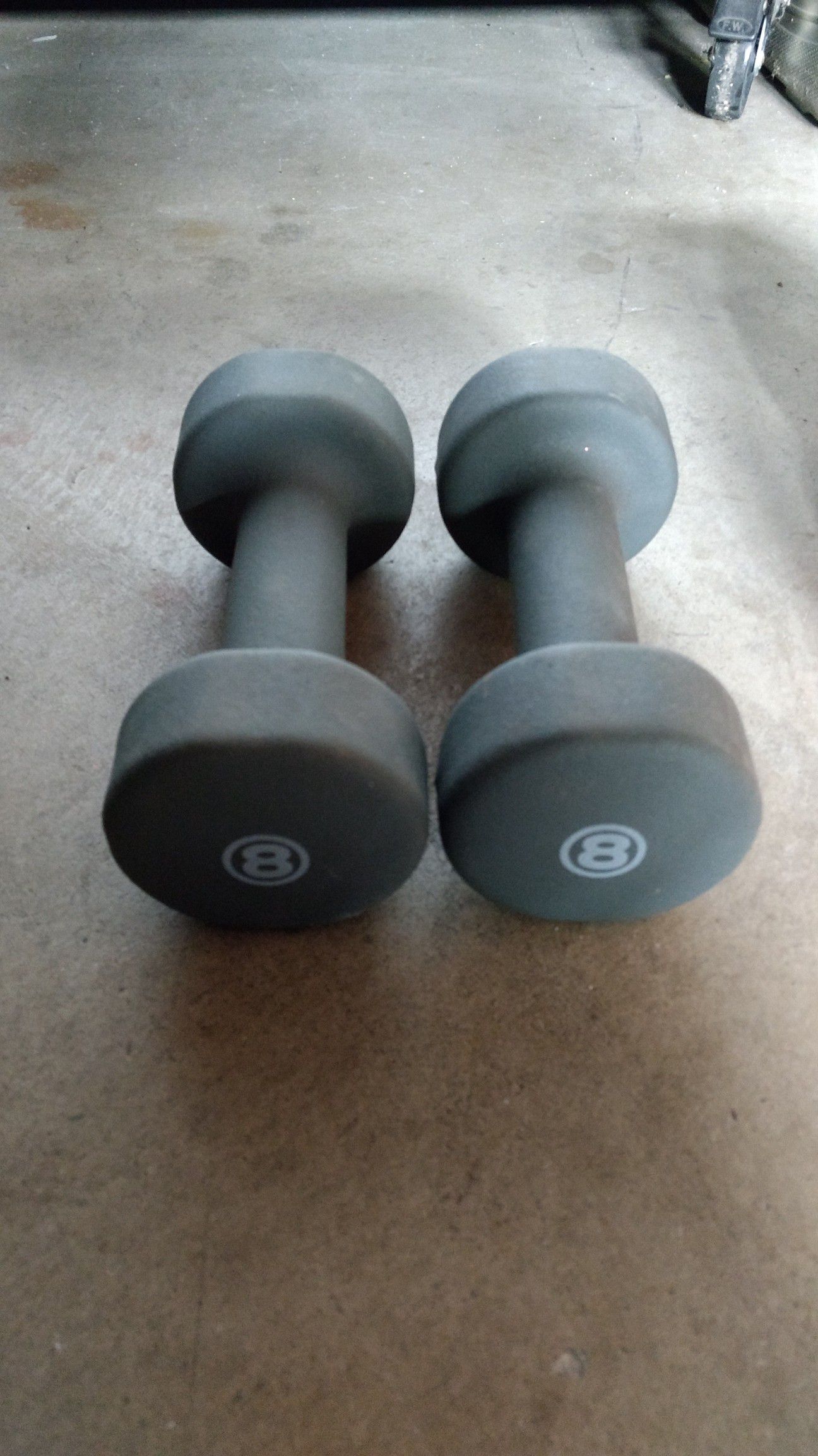Soft Coated Weights