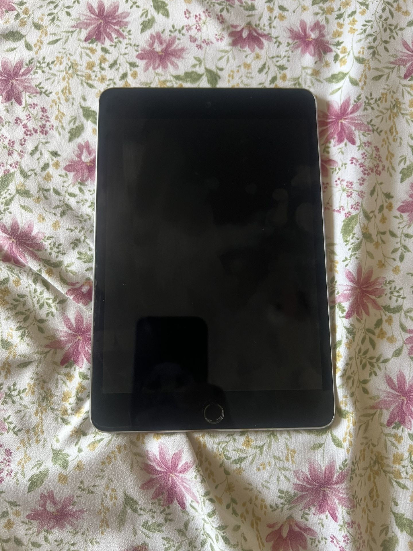 iPad Mini 128g