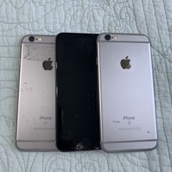 $50 For 3   Santa Ana City 