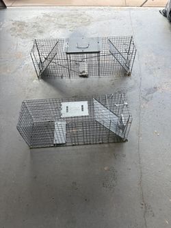 Large Havaheart Humane Trap