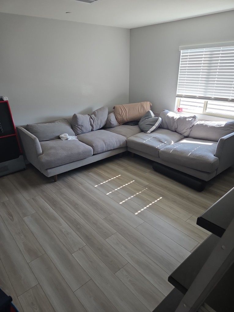 1 Year Old Couch