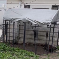Dog Kennel 