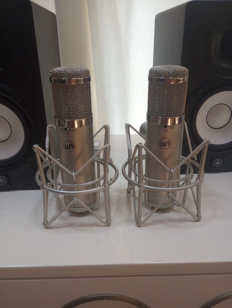 Two Mics Warm 45 Junior