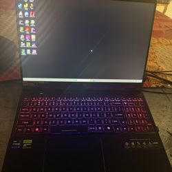 Acer Predator Helios Neo 16 (64GB RAM Installed)