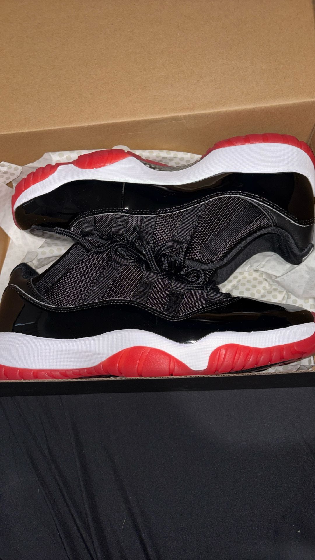 Jordan 11 retro lows