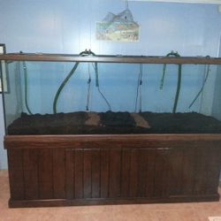 265 Gallons Fish Tank With Filters