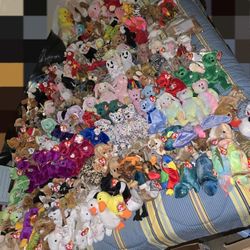 Ty Beanie Babies (215ish), Ty Beanie Buddies (55), Ty Teenies/Trading Cards & Way More!