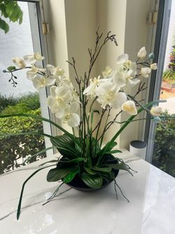 Stunning Silk Orchid with a black base