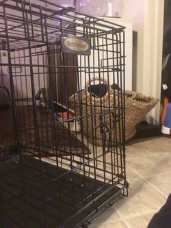 Dog Cage Or Cat 