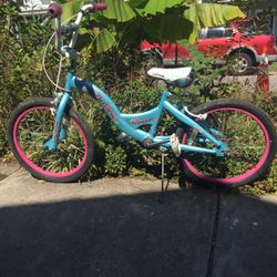 Schwinn Bicycle Size 20