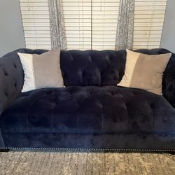 Blue Velvet Sofa And Love Seat 