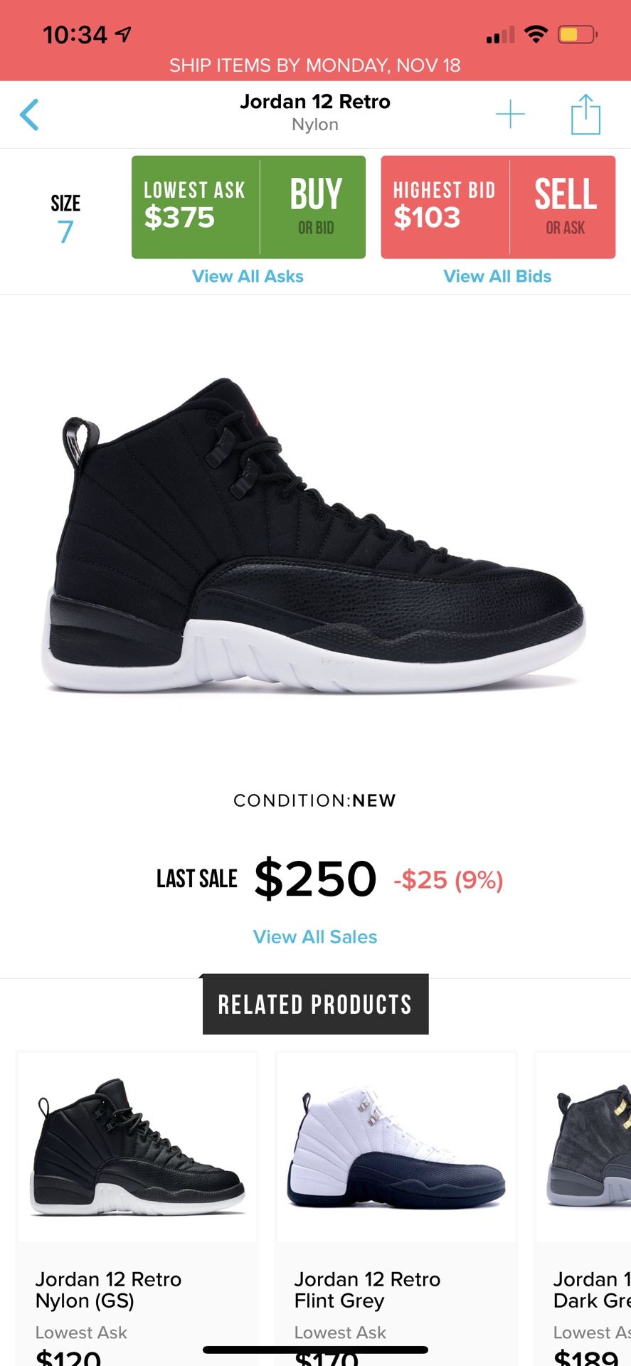 Jordan Retro 12s Nylon