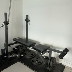 Fitness Gear Exercise/Workout Weight Set! 