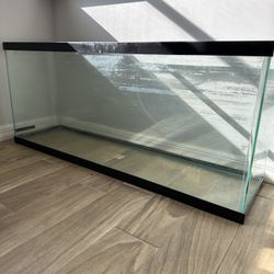 Fish Tank 
