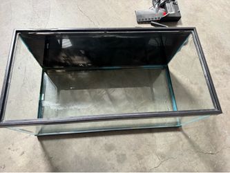 40 gal breeder