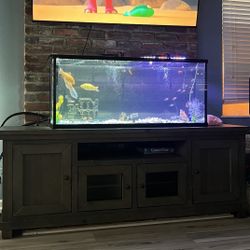 65 Gallon Fish Tank *