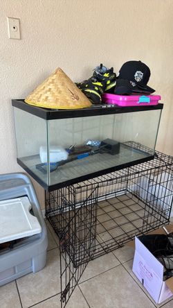 Fish tank