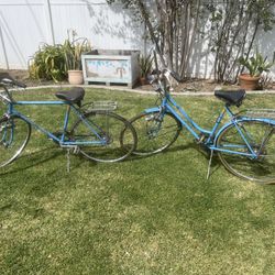 Schwinn His And Hers 