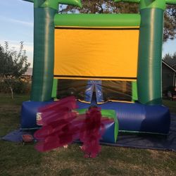 Bouncy House/inflatable House 