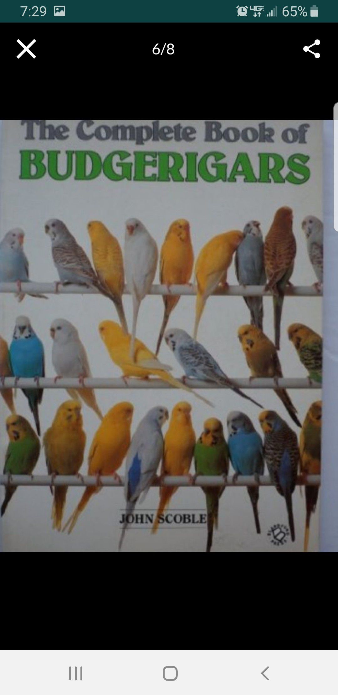 Book(Australian Parakeets)