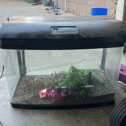 Pet Supplies
