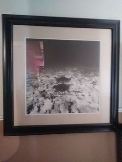 Large Sting ray picture