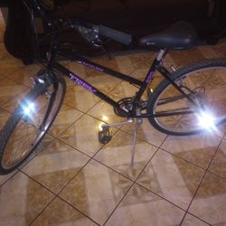 Trek Bike 