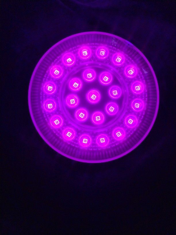 Rechargeable Pool Lights(2)