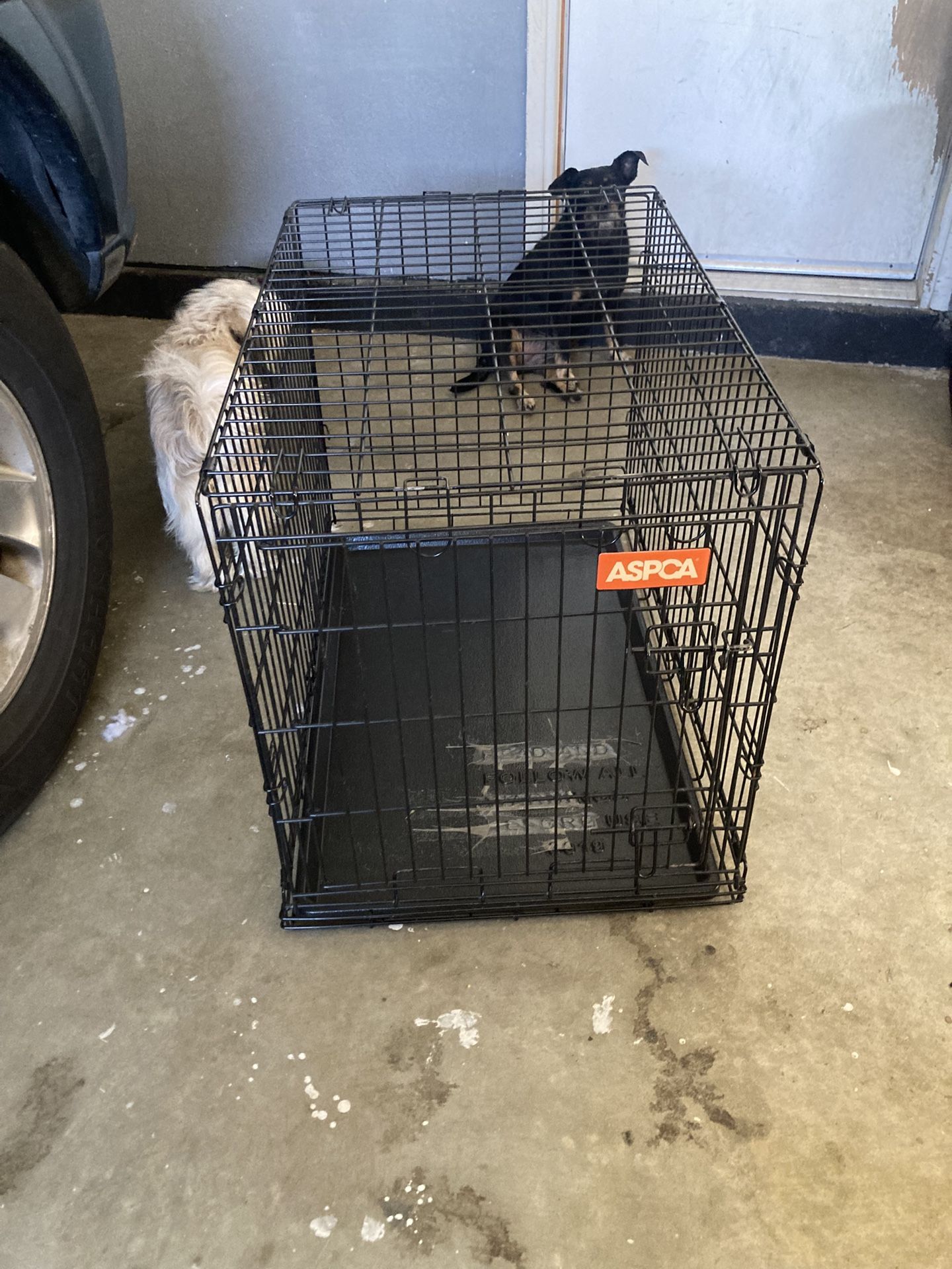Dog Crate 