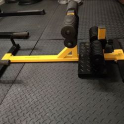 Squat-Assist / Pushup Station