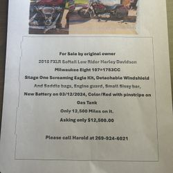 2018 Harley Davidson Soft tail lowrider