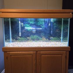 90 Gallon Fish Tank Set Up 