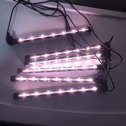 Grow Lights for Indoor Plants-$30