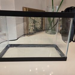 Aquarium With Filter