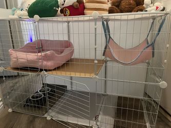 Cat cage with hammock