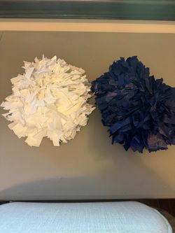 Blue and white 6 inch Pom Pom set of 13