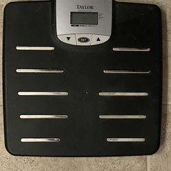 Scale 