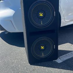 2 12 Kicker Comp C 4 Months Old 