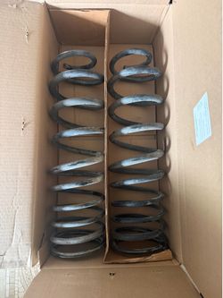 OEM ford f150 raptor rear coil springs
