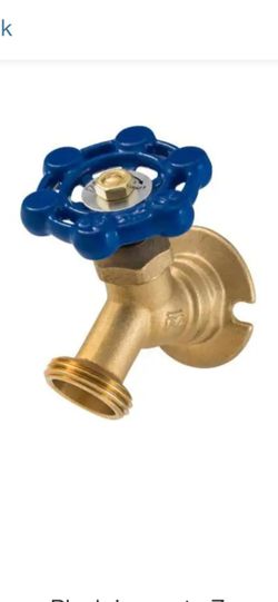 Everbilt 3/4" sillcock valve