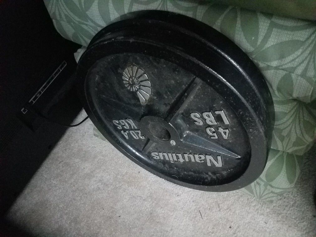 45 lbs Weight Plates